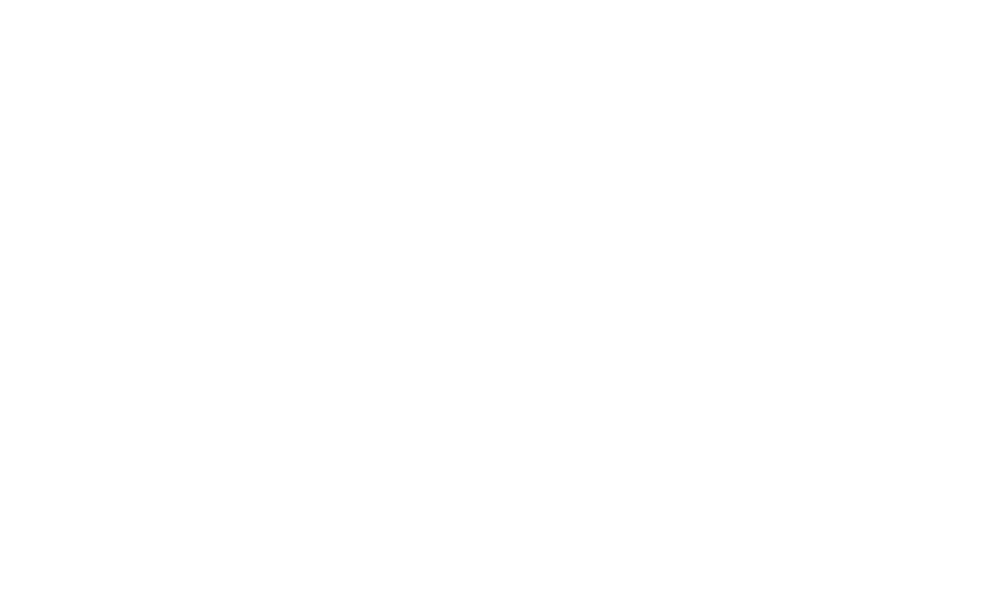 castrovision